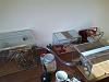 2011-06-12 08.50.25.jpg