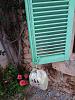 DSC00541.JPG