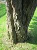 2349_244ec0a7215c67f5bd36814921be2dd7