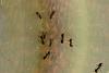 IMAG0311.jpg