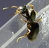 DSCN0681.JPG