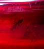 13245_fdfdfb38552abb1b403a884c05d6b958