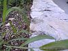 BILD1296.jpg