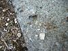DSCN4734.JPG