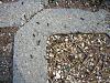 DSCN5338.JPG