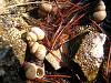 DSCN5129.JPG