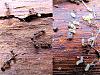 3086_1aef301241faaa3bc73596a741ae919e