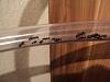 Camponotus japonicus im Schlauch.jpg