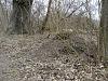 130308_Ameisen-WA_PICT1559.JPG