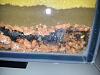 20130330_122912.jpg