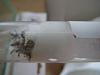 wassertank.JPG (1.79 MiB) 972 mal betrachtet wassertank.JPG
