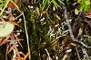 DSC01681.JPG