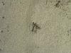 20130718_110327.jpg