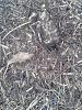 20130813_165044.jpg