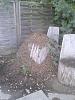 20130813_165055.jpg