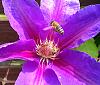15235_82ade5a059b2377000063c82dab99481
