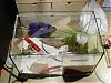 Terrarium_03.jpg