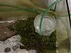 Terrarium_04.jpg