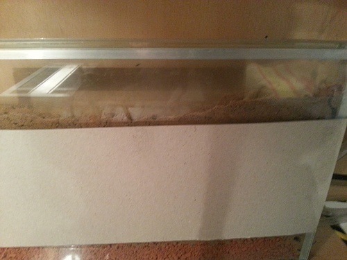 20140917_165323.jpg