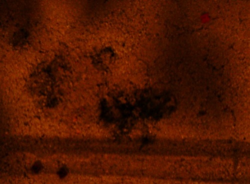 15921_c39e7f22eb63ac44e157df5196651ba7