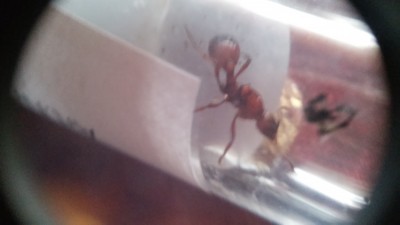 20150114_102027.jpg
