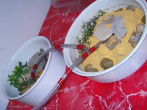 Hier nochmal die Keramikarenen: vorne hatte ich Plastik mit Gips überzogen und mit Lehm "bemalt"