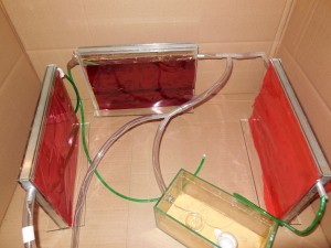 "Vorauswintern" im Keller