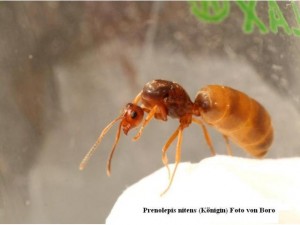 images691676_kienhiem.jpg
