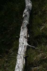 3-IMG_3999.JPG