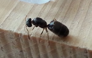 20150523_151958.jpg