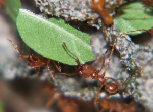 100_5290.JPG