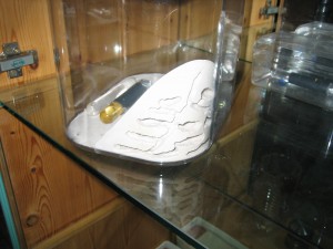 IMG_3695.JPG (1.04 MiB) 1708 mal betrachtet Gipsformicarium