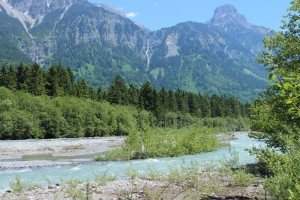 IMG_2646.JPG