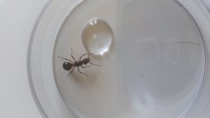 20150605_182431.jpg