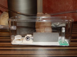 DSCN6515.JPG