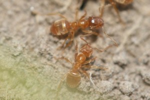 IMG_9835.JPG