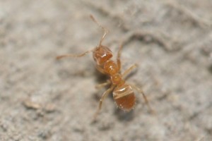 IMG_9839.JPG