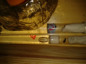 Kolonie A und C