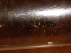 20150728_115704.jpg