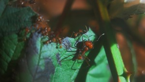 IMG_6400 (1280x719).jpg