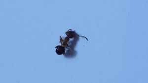 20160318_090216.jpg