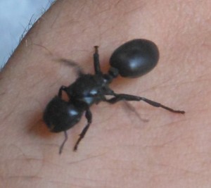 DSCN4287.JPG