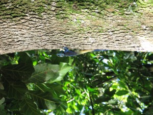 IMG_4640.JPG