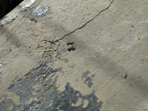 IMG_4641.JPG