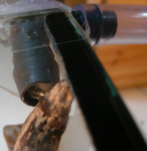 schmidti neuer (5).JPG (158.45 KiB) 9573 mal betrachtet Neu, das Kartonnest ?