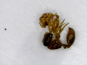 Mon Jun 20 23-29-02.jpg
