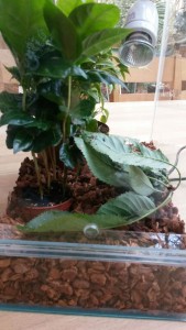 IMG-20160728-WA0004.jpg.jpeg