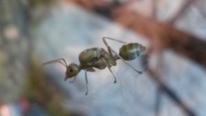 20160729_153659.jpg