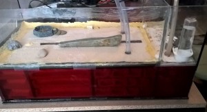 AS_Formicarium.jpg