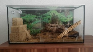 Terrarium von der Seite